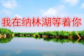 呼斯楞一首优美深情的《我在纳林湖等着你》天籁之音，美醉听醉了图片