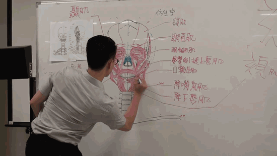 一根根小小的粉笔，也能画出大大的奇迹，看完艺术家的画我信了