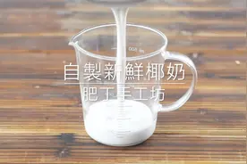 教你在家做新鲜的椰奶，全天然植物奶，营养又好喝，全家人都喜欢