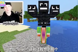 我的世界绒毛玩具模组 居然可以把小苦力怕戴在头上！