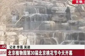 第30届北京桃花节暨第15届世界名花展在北京植物园拉开帷幕视频封面