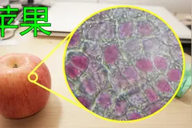 显微镜放大苹果2000倍，观察苹果细胞和氧化变黄后发生的微观变化视频封面