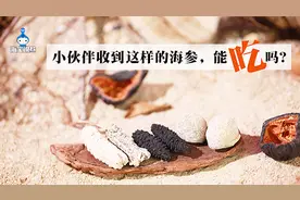 海宝说参：为什么有的海参有刺，有的海参没刺？