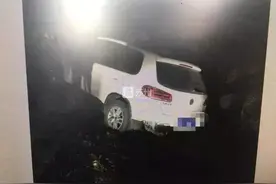 苏州警方抓获13人，专以豪车“碰瓷”酒驾司机图片