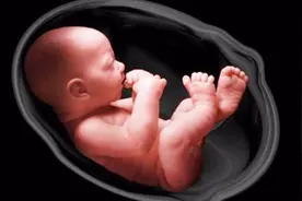 孕产：胎宝宝每天都被羊水包围着，为什么耳朵不会进水？视频封面