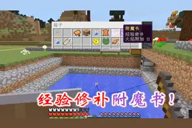 我的世界：这运气还有谁？钓起一本经验修补附魔书，小和尚很羡慕
