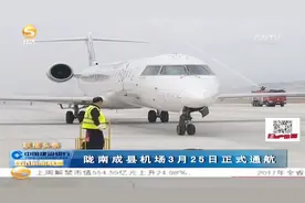 陇南成县机场3月25日正式通航视频封面