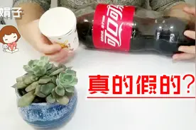 没喝完的可乐怎么保存？用2个一次性杯子存放二个月，真的太好了视频封面