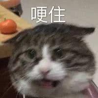 张继科景甜晒牵手照公布恋情！发糖这么久，终于变成明晃晃的狗粮