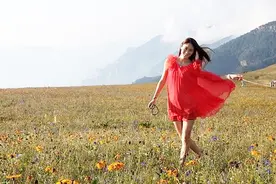 山顶上的大草原 --历山  据说还是一个三不管的地界视频封面