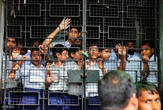 为什么学生总是有补不完的课？这些知识到底有什么用？