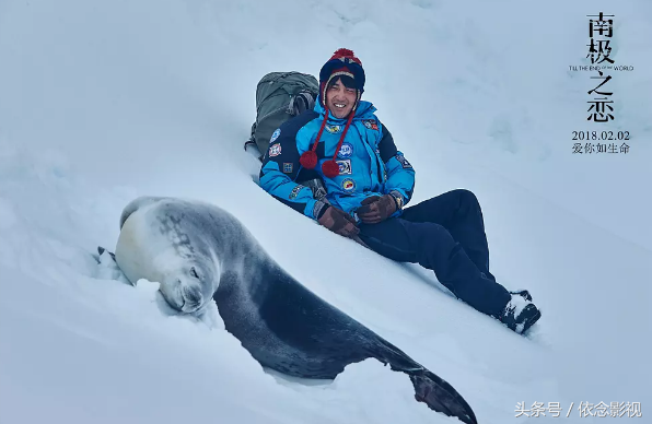 电影南极之恋的大结局是什么（南极之恋结局是什么意思 南极之恋结局女主荆如意死了吗）