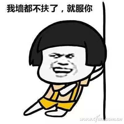 2025年10月19日 第17页