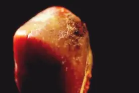 砖厂工地惊现地洞 出土众多珍贵文物却无棺椁