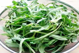 乡下有种常见的野菜，不仅名字好听还很好吃，营养比燕窝还高视频封面