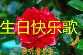 华语群星-生日快乐歌.mp3视频封面