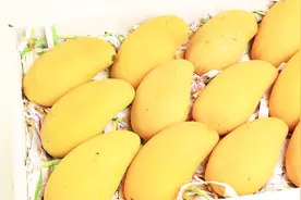 抖音上最火的，用牙签去芒果皮的方法，原来芒果去皮这么简单