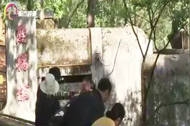 昔日明星大熊猫“珍珍”您还记得吗？视频封面
