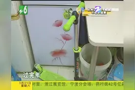 房子住了三年，续租要加竞拍费，房东却说从来没有租给他？视频封面