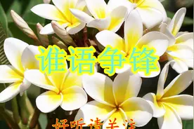 华语群星-谁语争锋 (Live).mp3视频封面