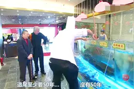 舌尖河鲜：蔡澜就是有口福！花锦鳝不想被吃开跑，还是被做成美味