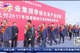 灵武重奖种粮大户 最高拿到56万元视频封面