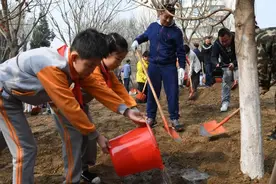 工体旁将建1.1万㎡城市森林公园，预计9月底完工！图片
