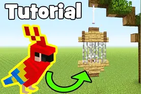 我的世界：如何制作一个鹦鹉笼子 教程视频