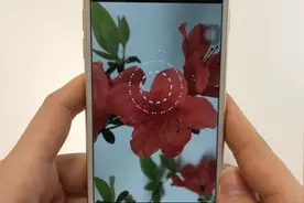 微信新功能，只要对着花草拍张照，就能知道该植物的详细介绍了视频封面