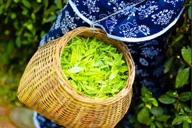 实拍江西最美小镇——虔心小镇视频封面