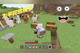 我的世界：为羊驼装箱子，为什么没有15个箱子的，脸黑啊