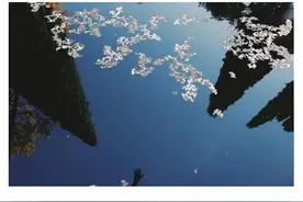 梦真是个可怕的东西，在你毫无防备的时候，费尽心思想要忘记的人图片