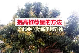 头条号运营：提高推荐量的方法总结，“2过1拼”助新手赚到钱视频封面
