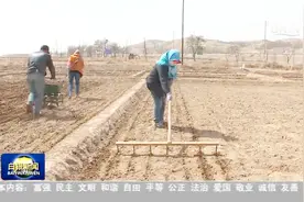 甘肃景泰：科学种田 助推农业增效 农民增收视频封面