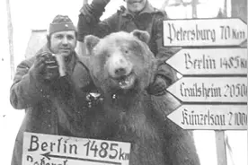 真实纪录影像：人熊并肩作战 世界上唯一有军衔的战斗熊！视频封面