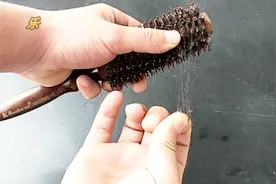 梳子上头发难清理？只要两步梳子干干净净，就是这么简单