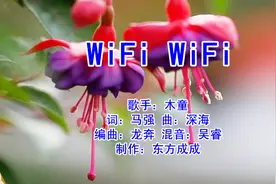 新歌！新歌！一曲《WiFi WiFi》确实好听，让朋友们一起分享！