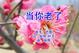 巴图动情演唱《当你老了》感恩母亲视频封面