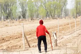 九旬老太清明前冒险做“复明”手术，只为再给老伴上次坟视频封面
