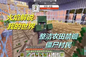 火焰解说 我的世界 3964 整洁农田禁锢僵尸村民