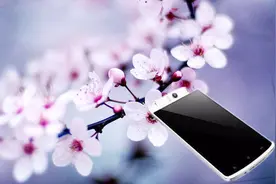 教你手机打开樱花特效，让樱花在微信满屏开放，很漂亮！