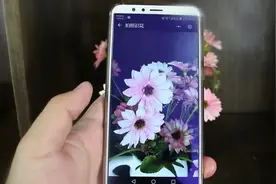 微信最新功能，只需对着花草拍张照，手机立马就出现奇迹，很神奇视频封面