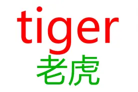 小学英语单词卡片！31个动物英语单词！美式发音读3遍！大号字幕视频封面