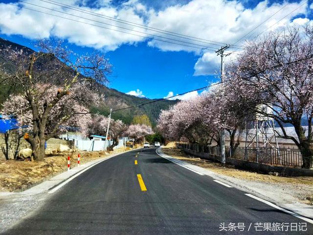 318国道川藏线，从成都到拉萨，经过甘孜，林芝，必打卡景点清点