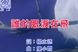 谁的眼泪在飞 是不是流星的眼泪那一颗是我流过的泪 不要叫我相信视频封面