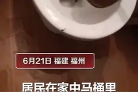 可怕！福建一居民家马桶惊现黑色大蛇图片
