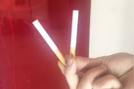 香烟是可以吸大家都知道，其实它还可以除潮吸附异味，香烟妙用