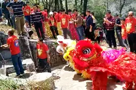 好隆重，三条狮子一起参与清明舞狮祭祖盛典视频封面