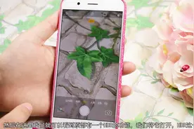 用手机拍照总很模糊？那是你没打开这个开关，拍照马上一清二楚！