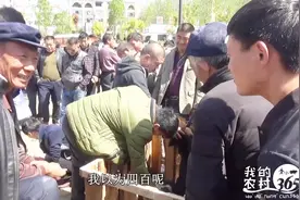 河南农村大集狗市，品种齐全，罗威纳幼犬500元，阿根廷杜高350元视频封面
